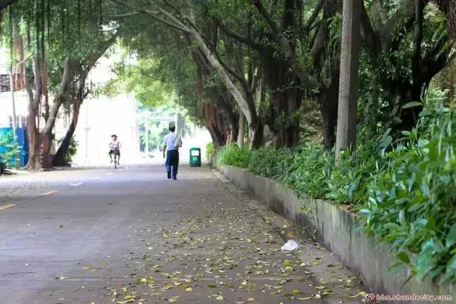 佛山顺德杏坛古村,顺德千年古村落