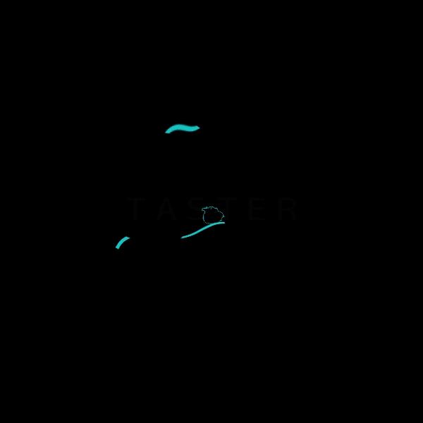 魅族地图,魅族地图相册