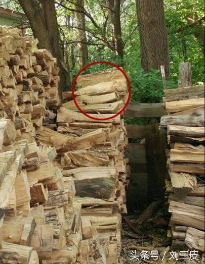 李晨眼睛睡肿了是哪一期,李晨黑匣子