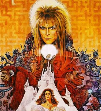 8月6日-8月12日大温一周精彩活动一起来看流星雨吧!