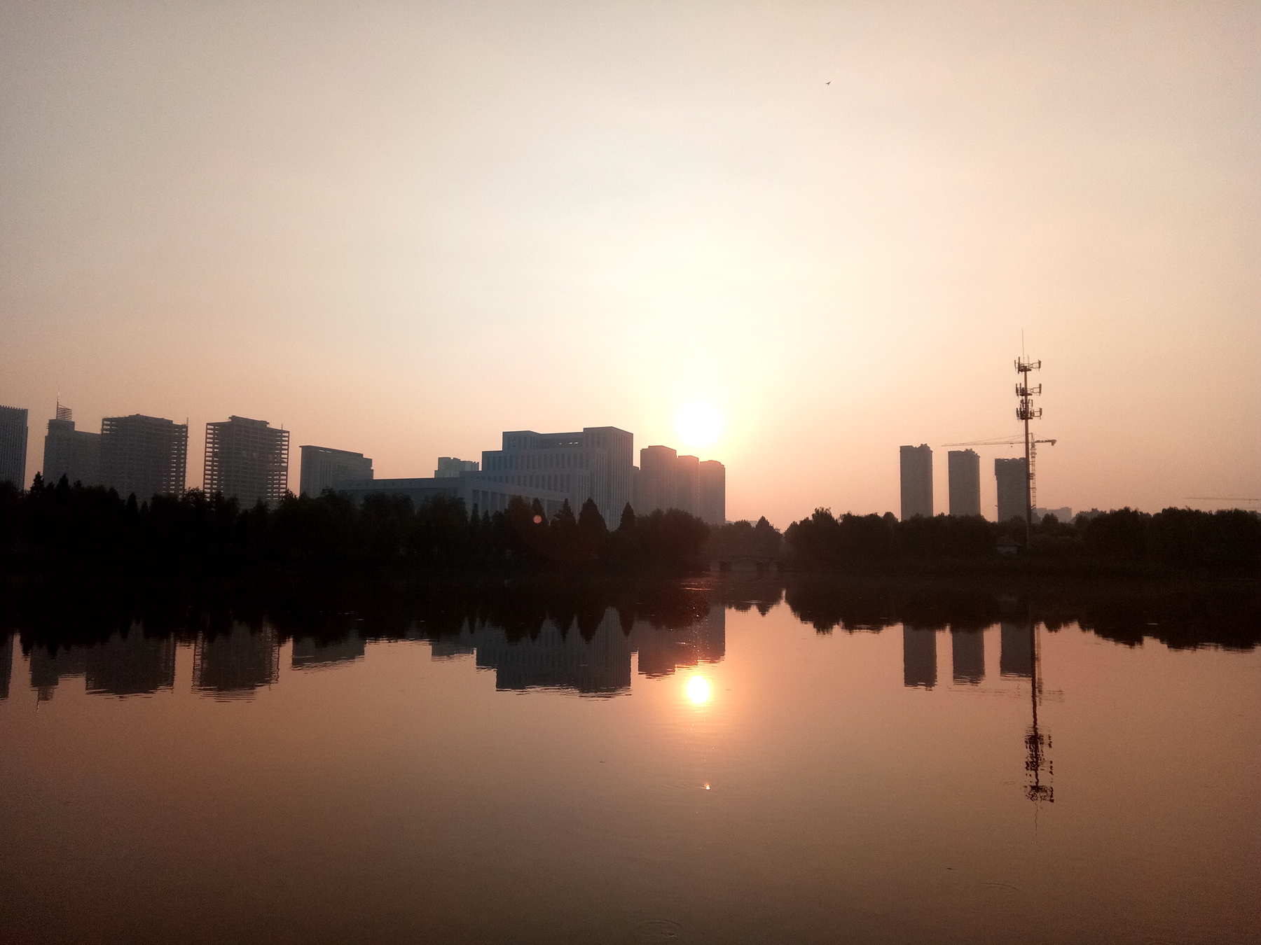 小品牌性价比电动车,酷比max5参数