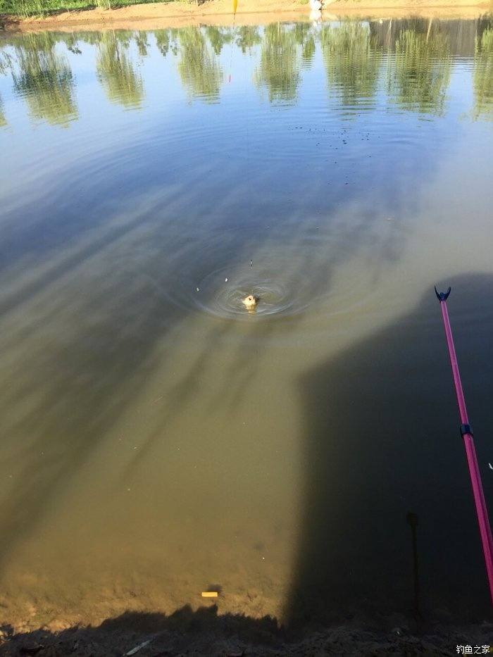 鳜鱼活性低用哪种拟饵,路亚鳜鱼拟饵