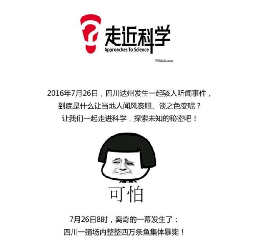 机智如你出处,机智如你后面一句