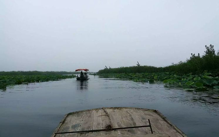 vivox7上手体验,vivox7缺点演示