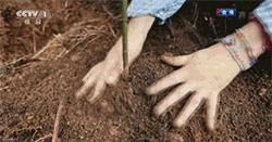 里约奥运会开幕式文艺表演,里约奥运开幕式名场面