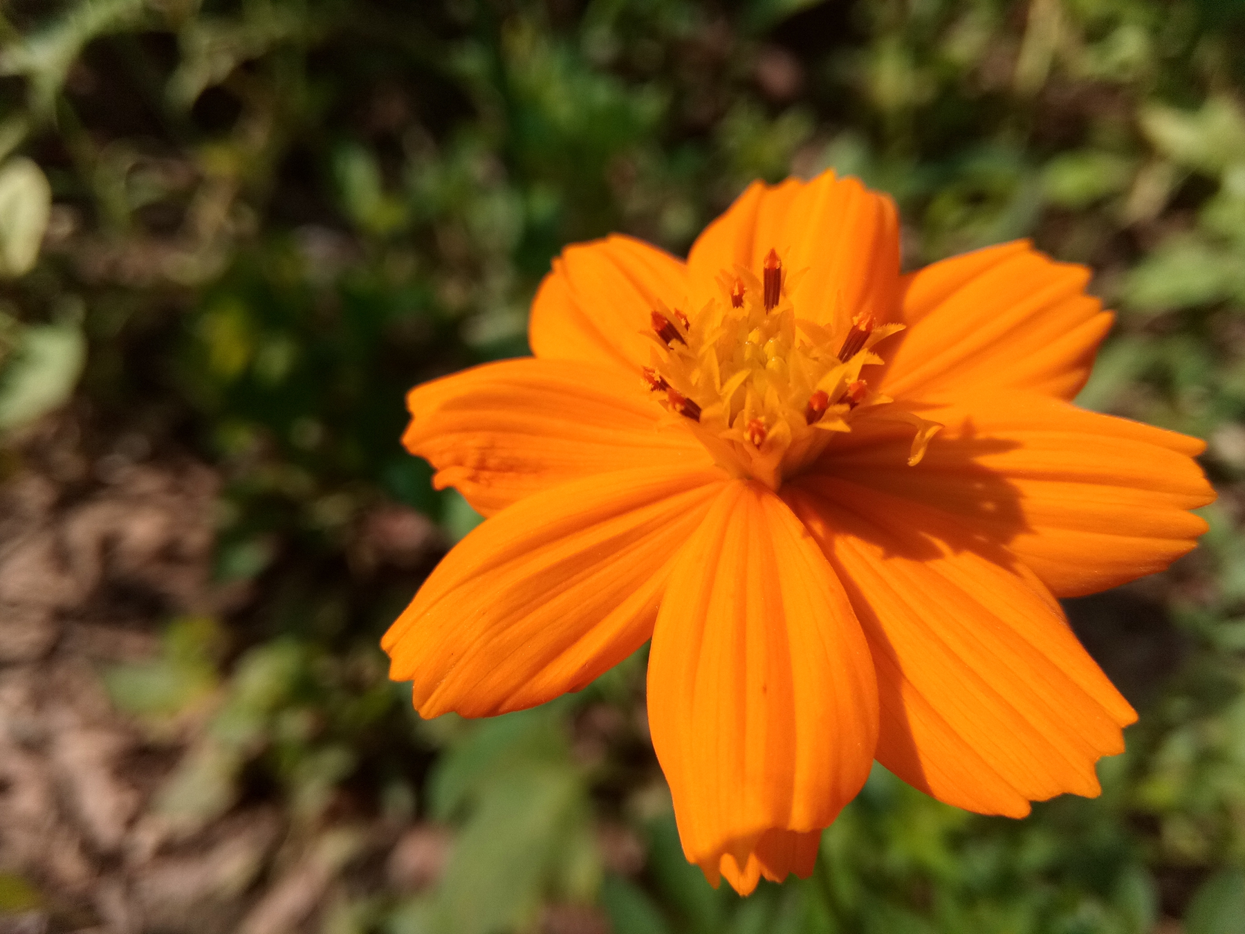 小品牌性价比电动车,酷比max5参数