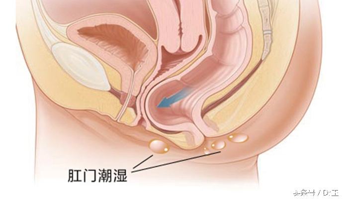 受孕有多困难,受孕困难的女性应该怎么备孕