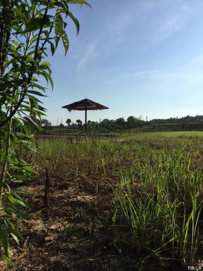 鳜鱼活性低用哪种拟饵,路亚鳜鱼拟饵