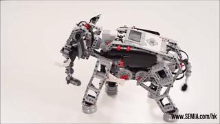 上万块的乐高培训班，该给孩子报名吗？