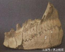 你不知道的事儿大结局,你不知道的事儿剧情