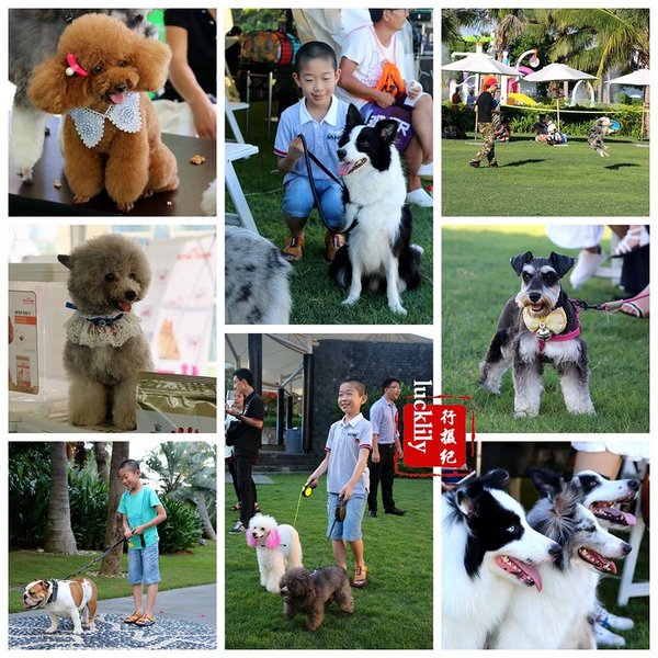 三亚美高梅和海棠湾红树林,海南岛三亚美高梅