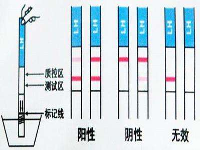 排卵自测，备孕妈妈必看。