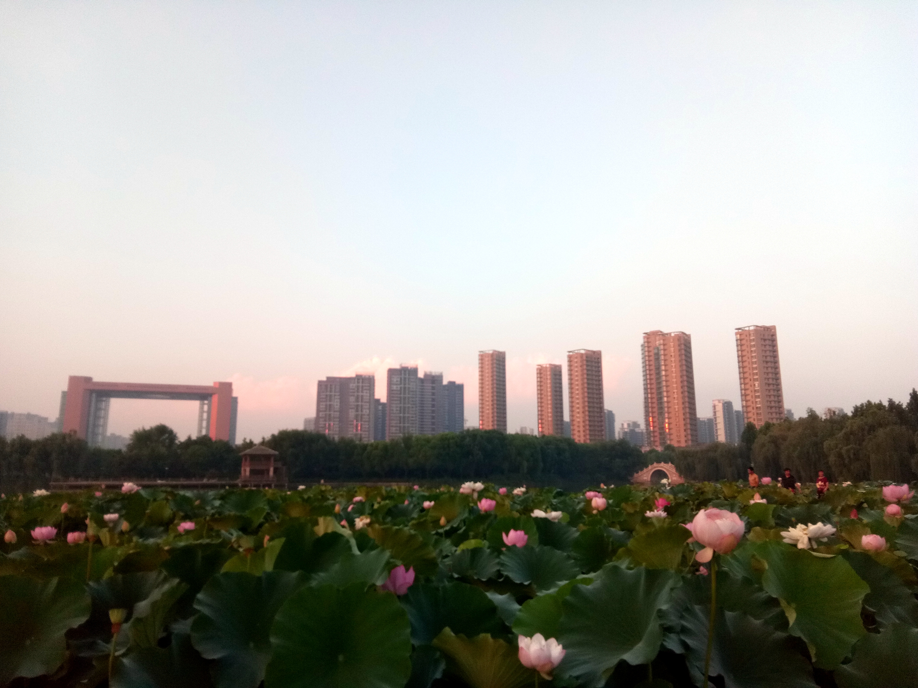 小品牌性价比电动车,酷比max5参数