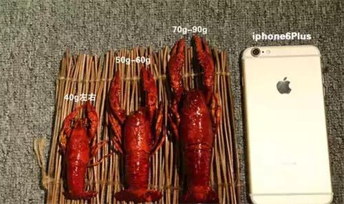 赵丽颖小龙虾夹肉,赵丽颖采访心心念念小龙虾