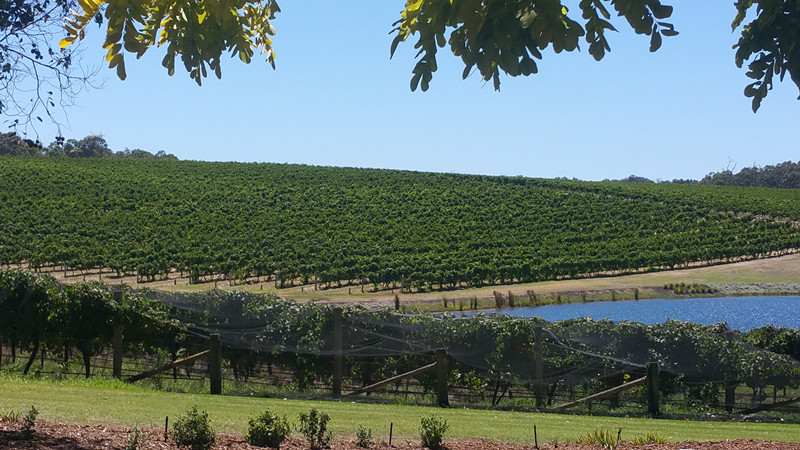 珀斯最孤独的城市,为什么珀斯是最孤独的城市