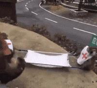 长肉增肥的季节,长肉的季节如何抑制体重