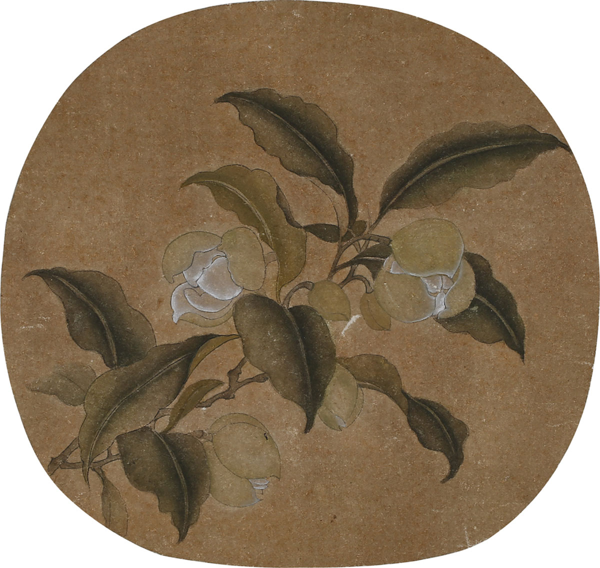 工笔花卉教学,工笔花卉简单的