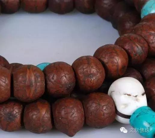 尼泊尔当地的凤眼贵吗,尼泊尔凤眼和国内凤眼颜色区别