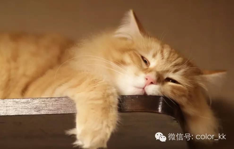 懒人家里九件宝