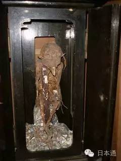 是真是假?日本传说中的河童天狗人鱼的木乃伊