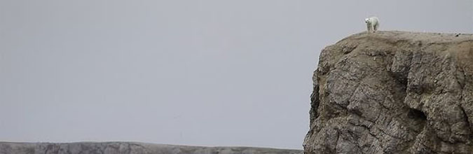 爽酷一夏，穿越北极