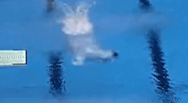 今天晚上我们坐等,这些世界纪录在巴西被打破!(内附赛程)