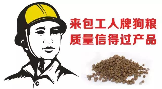 一个月的狗除了狗粮还能吃什么,不到一年的狗吃什么狗粮