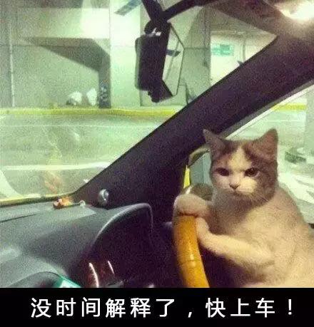 如何淘到低价好鞋,怎样在网上淘到正品鞋