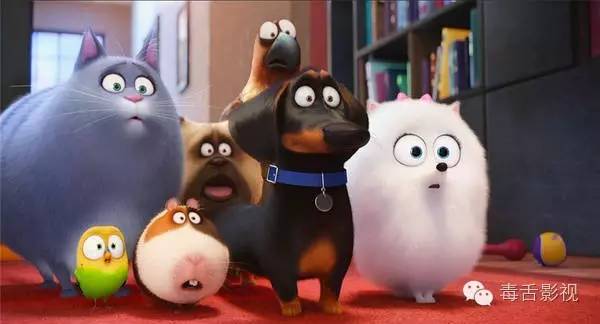 爱宠大机密和宠物大机密,疯狂动物城爱宠大机密