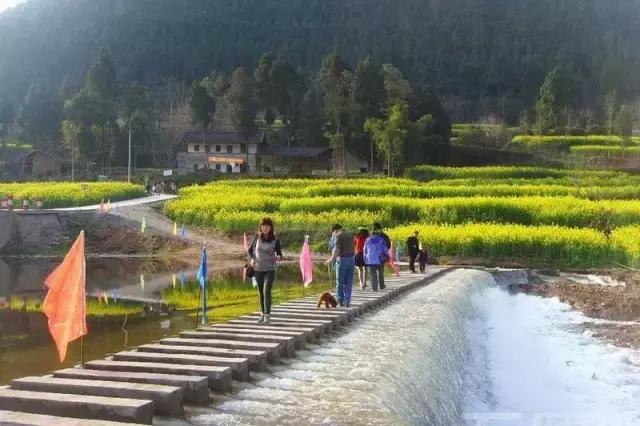 阿里山的姑娘邓禹平,阿里山的姑娘邓禹平结婚了吗