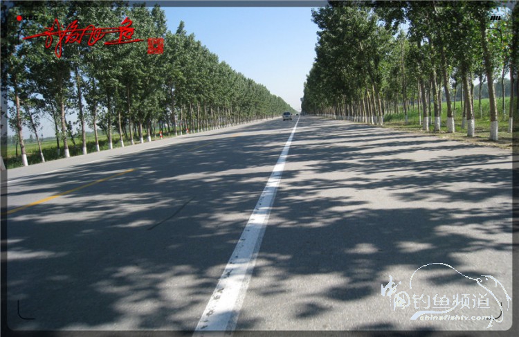 户外野钓小河沟七星鱼,鲫鱼野钓小河沟