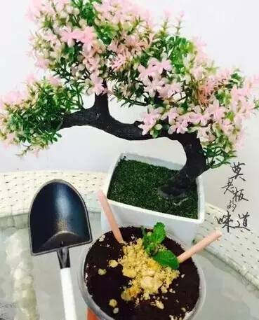 来自思密达国的icecream,夏天你想和谁一起来拔草?