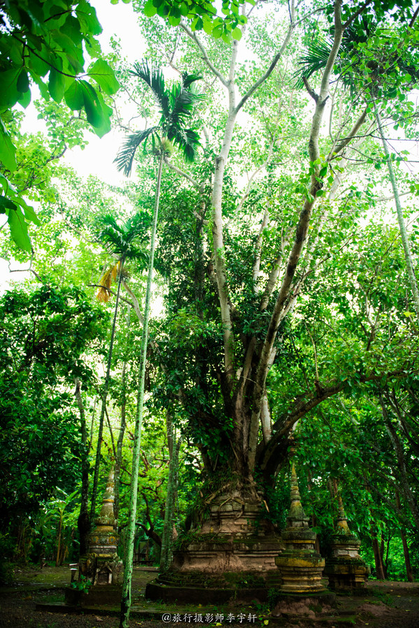 西双版纳住哪个傣族园舒服,西双版纳傣族园玩什么