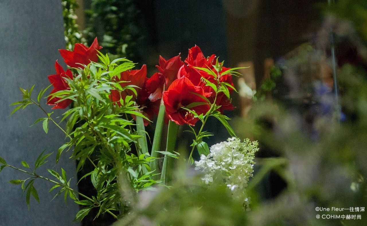 夜访北京皇城根儿下的五家花店：七夕不约会，只约花讲花艺