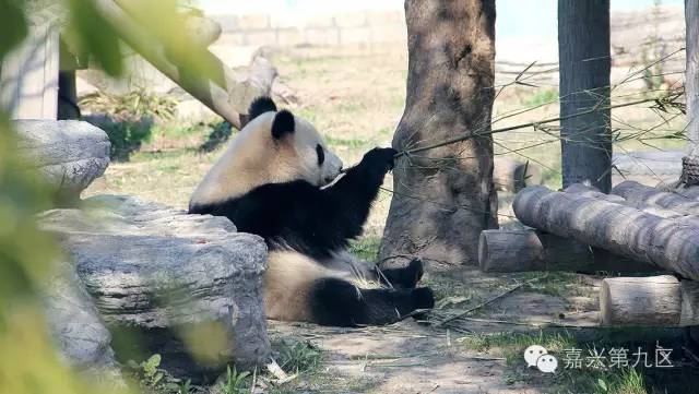 宁波出发高铁4-5小时能到哪里,宁波出发坐高铁三日游推荐