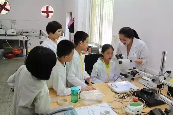 博物馆的工作有哪些,当博物馆讲解员