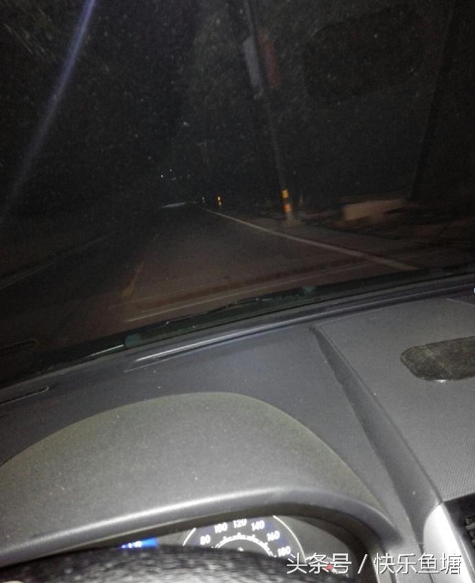 第一次钓鱼收获不错,晨钓该钓浅还是深