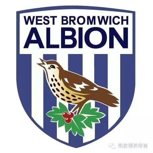 了解英超球队,中国球迷最多英超球队