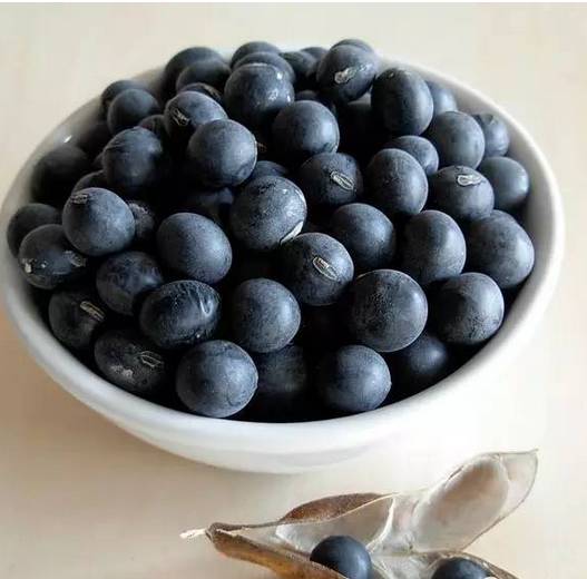 日本医生喝温开水,日本医生喝温开水治病