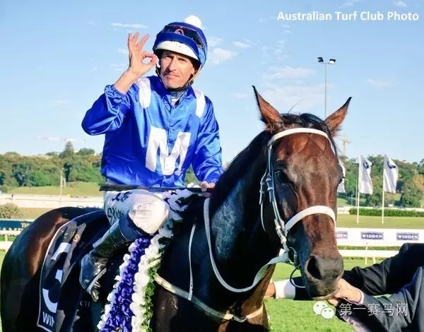 世界马匹最新排名出炉,“荣进之光”三度蝉联榜首