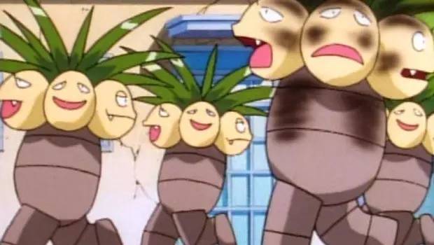 啊，椰蛋树！你的脖子怎么那么长？！