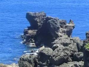 王蕊和乔杉相亲全集,王蕊半决赛