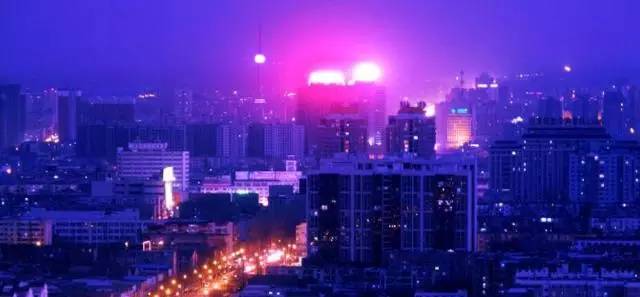 孔雀东南飞为什么是东南枝,孔雀东南飞为什么出名