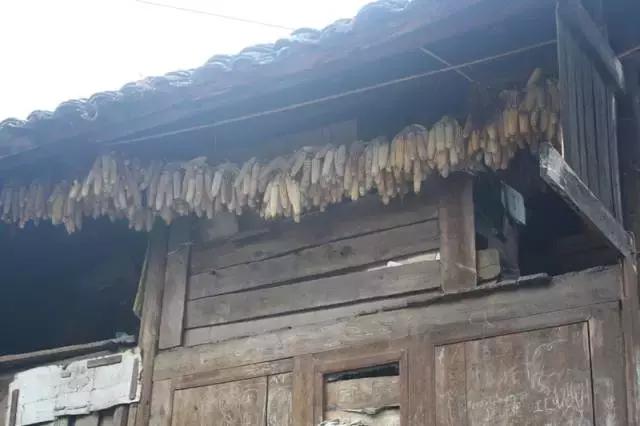 小长假来一场茶之旅,带茶叶旅游攻略