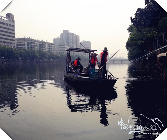 早起的鸟儿有虫吃动画,早起的鸟儿有虫吃故事
