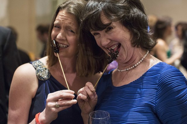 为什么有人吃蟑螂能治尿床,蟑螂煲水喝可以治尿床吗