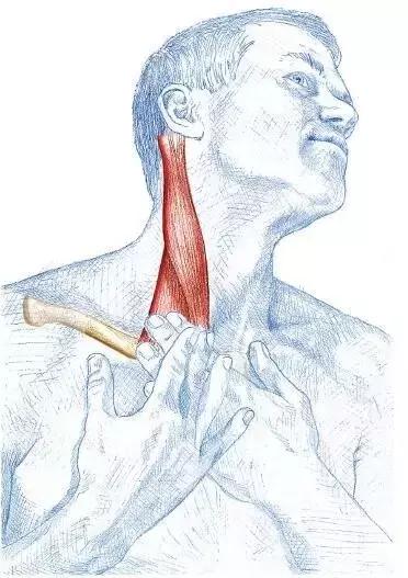 里约奥运会跳水冠军吴敏霞,里约奥运会跳水吴敏霞女单