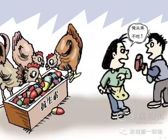 动物滥用抗生素有什么危害,常年吃抗生素导致无药可救