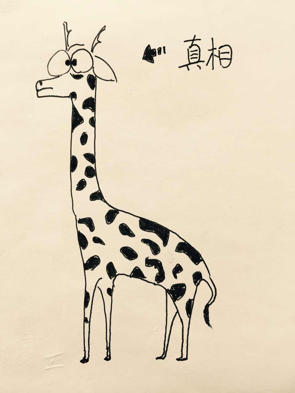 霹雳爸爸,霹雳爸爸海淘攻略