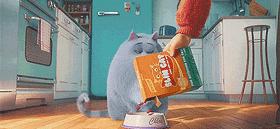 想在微信群里发广告,微信群发广告技巧